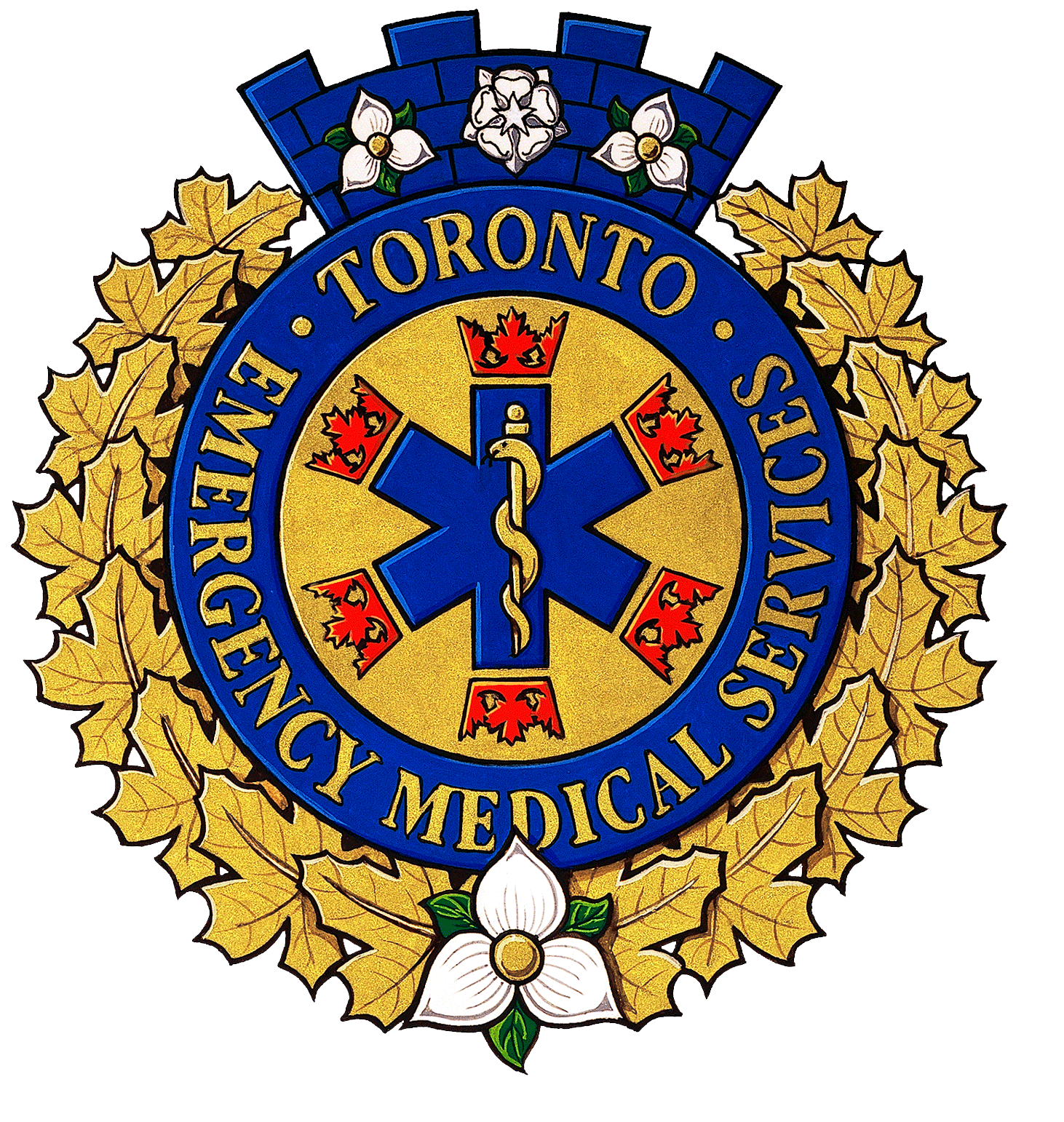 Toronto Emergency Services