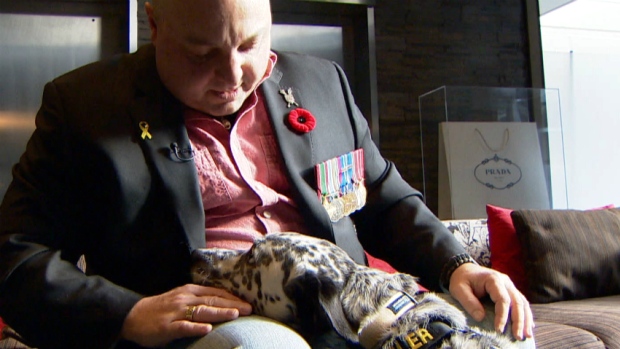 Remembrance Day ceremony honours dogs