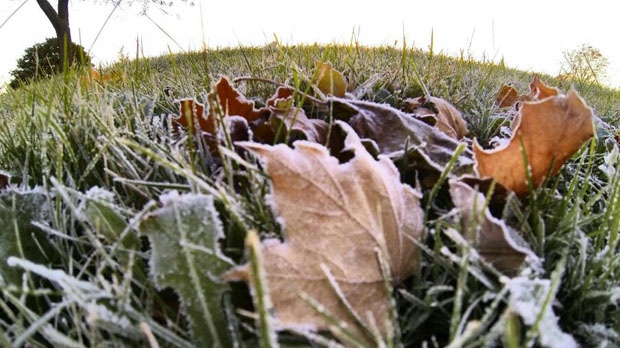 Frost expected overnight Friday