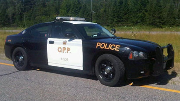 Police kept busy in Wasaga Beach