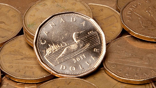 Loonie is relatively stable