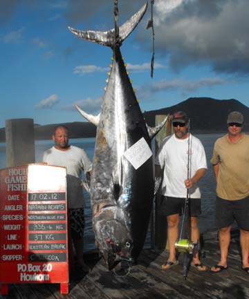 New Zealand Tuna
