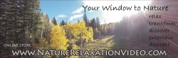 Nature Relaxation Video