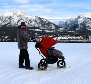 Polar Stroller skis for baby buggies 2