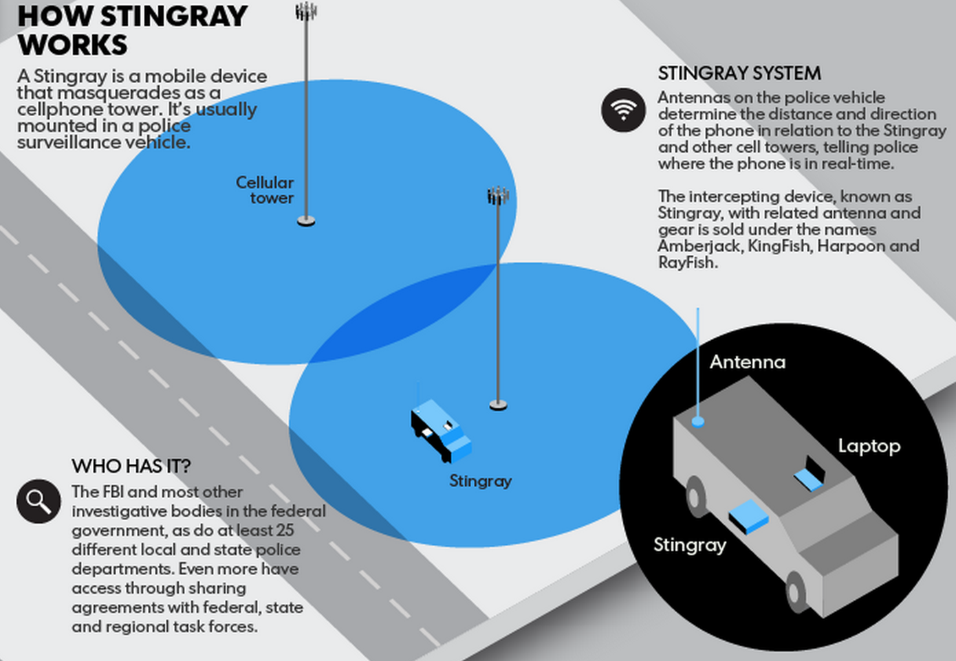 Stingray System