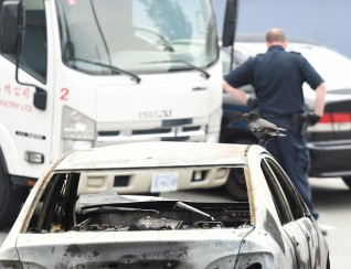 canuck-crow-on-burned-car