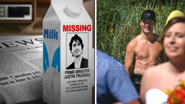 milk-carton-trudeau-collage