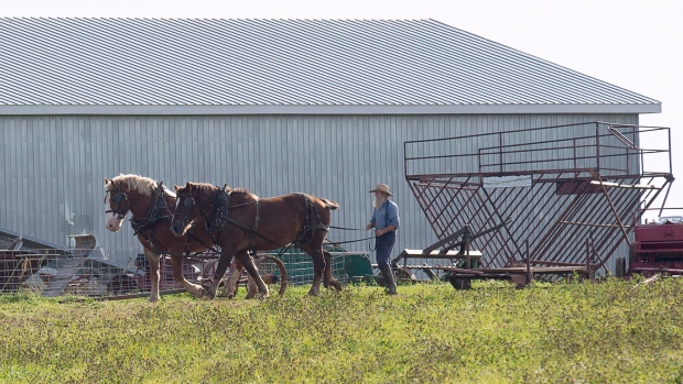 amish