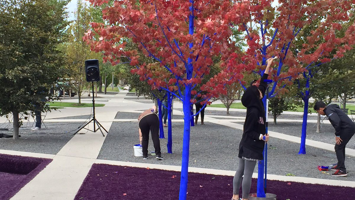 blue-trees