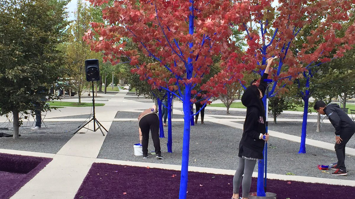 blue-trees