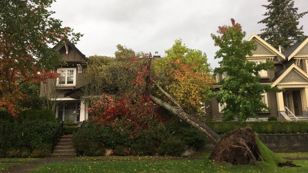 storm-in-bc