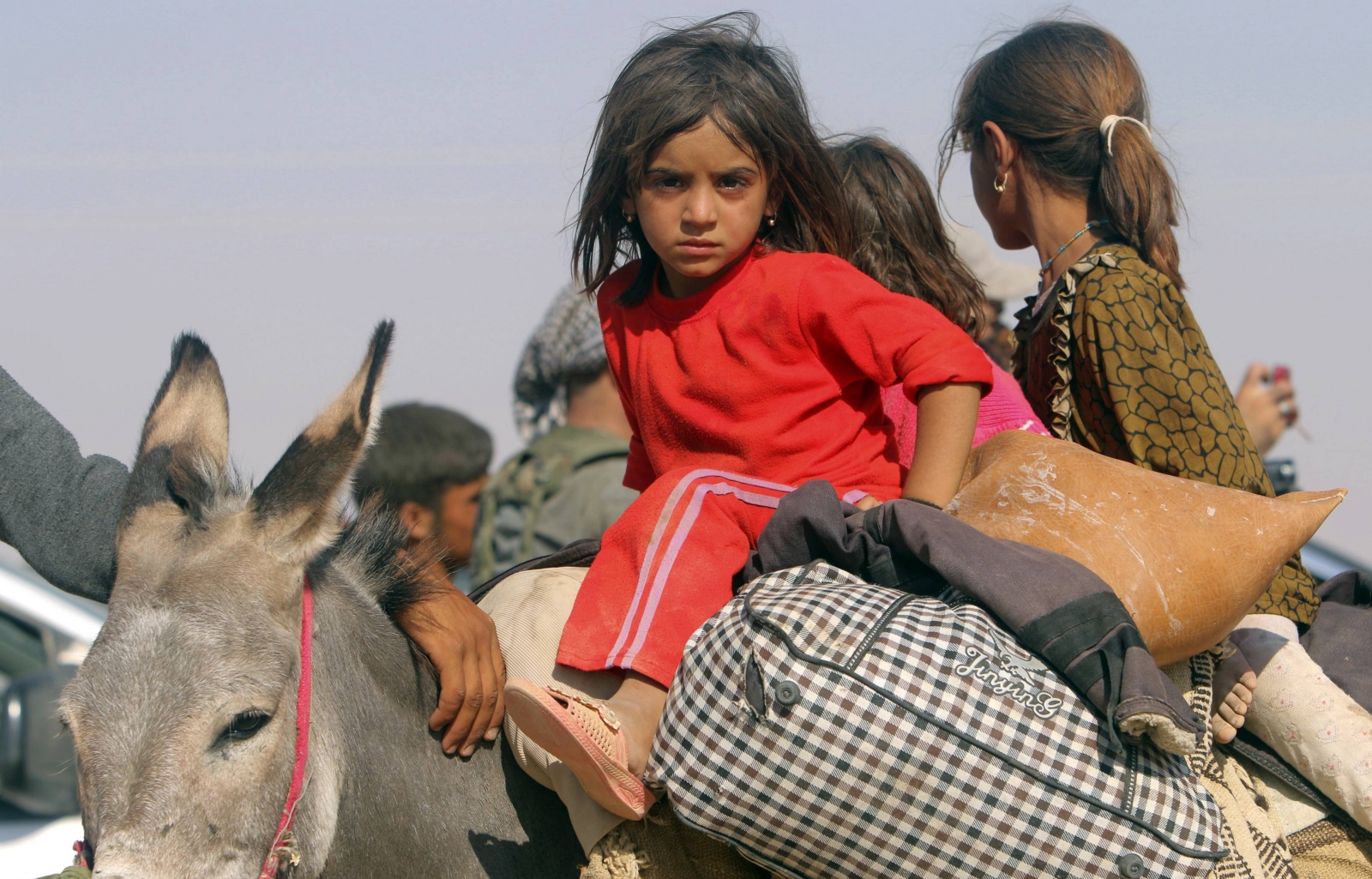 yazidis