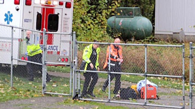 surrey-tree-hit-teen