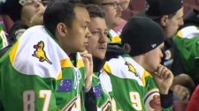 australian-hockey-team