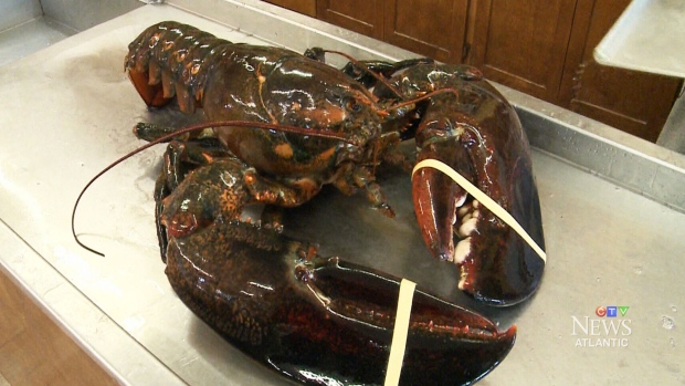 lobster-giant-1