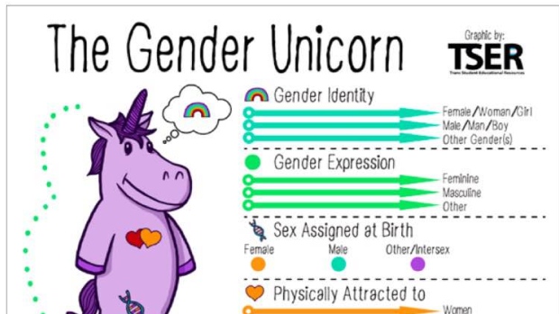 a-purple-unicorn-is-used-to-describe-a-more-authentic-way-of-understanding-gender