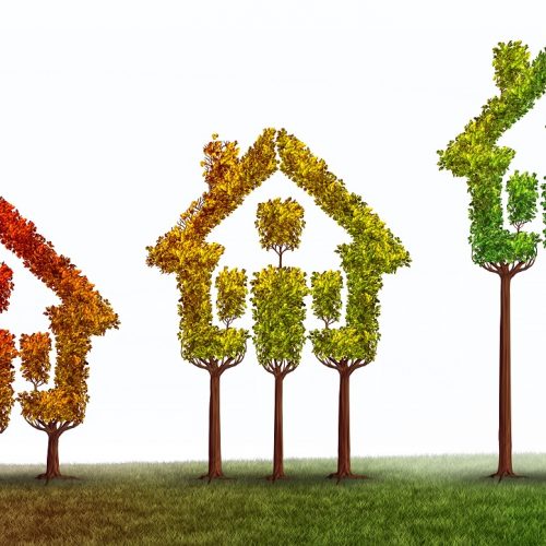 TRREB: продажи недвижимости за год выросли на 25%, но предложение остаётся низким
