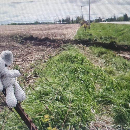 ОЧЕРЕДНАЯ ТРАГЕДИЯ НА ДОРОГАХ ОНТАРИО – ПОГИБЛИ ПЯТЬ ЧЕЛОВЕК 