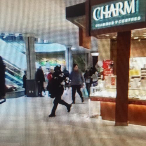 ВИДЕО. ОГРАБЛЕНИЕ ЮВЕЛИРНОГО МАГАЗИНА В ТОРГОВОМ ЦЕНТРЕ GEORGIAN MALL В БАРРИ