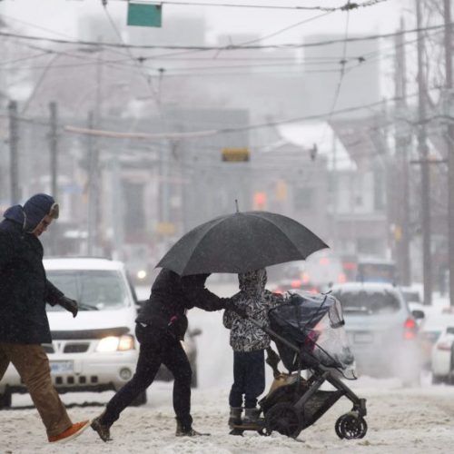 В ТОРОНТО ОЖИДАЮТСЯ СМЕШАННЫЕ ОСАДКИ