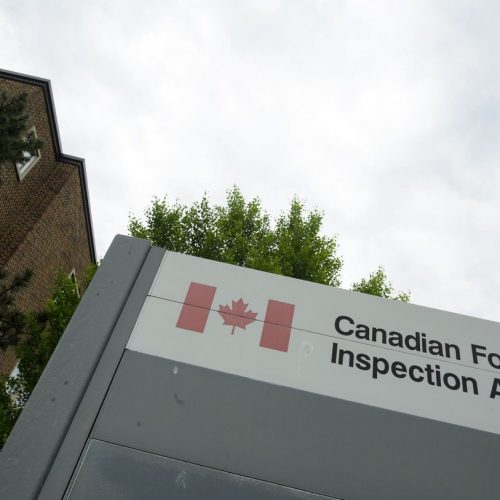 CFIA  СОКРАТИТ 1300 РАБОЧИХ МЕСТ