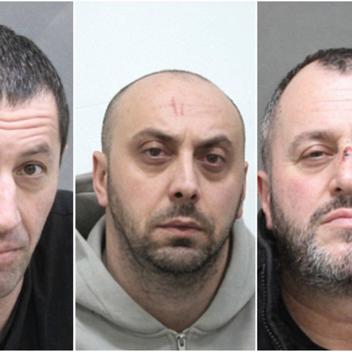 ОБВИНЯЮТСЯ В МНОГОЧИСЛЕННЫХ КРАЖАХ СО ВЗЛОМОМ 