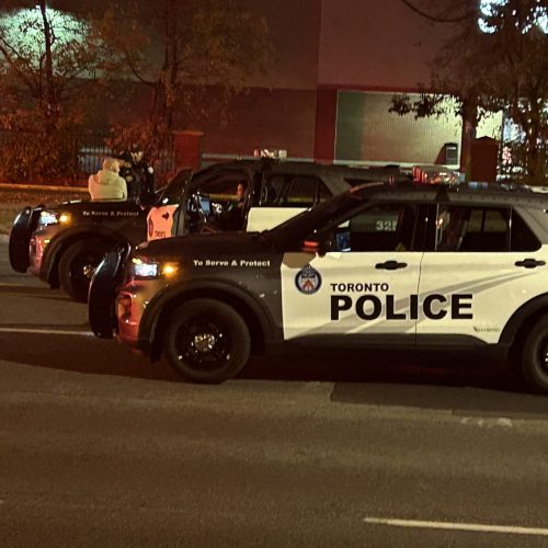 ПОНОЖОВЩИНА ВОЗЛЕ STEELES И YONGE В ТОРОНТО